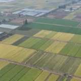 今年前三季度18个省份GDP增速高于全国3.0%的增速