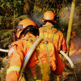 今天是全国消防日 一组图致敬逆行英雄