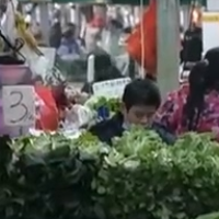 广西南宁：年货登场 “菜篮子”物丰价稳