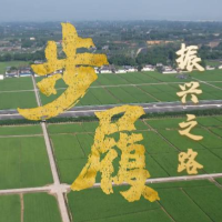 步履｜振兴之路