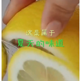 风已经有夏天的味道了