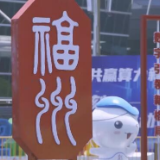 科技感十足！第五届数字中国建设成果展览会开展