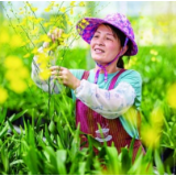 福建：用奋斗谱写幸福新篇章