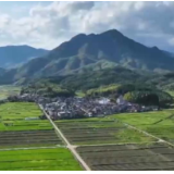 【在希望的田野上】秋粮生产进入中后期 多举措稳产保丰收