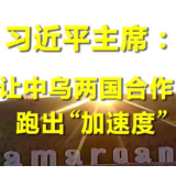 第1视点｜习近平主席：让中乌两国合作跑出“加速度”