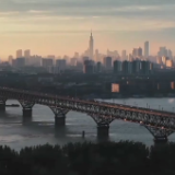 活力自贸区 改革开放新高地