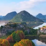 湖清水净候鸟翩跹 绘就人鸟和谐的生态美景