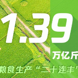 数完10个数，进入2024！