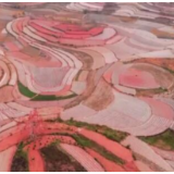 红土地上忙春耕 色彩斑斓犹如美丽画卷