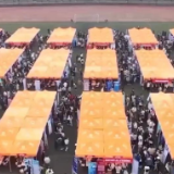 热评丨抓紧春招时机,为大学生送去就业“春风”