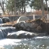 世界水日丨19座城市纳入首批区域再生水循环利用试点