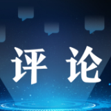 质疑中国治理，无知说大话（望海楼）