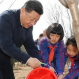 连续11年参加首都义务植树活动，总书记殷切寄语