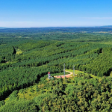 中国持续增绿为世界交出“绿色答卷”