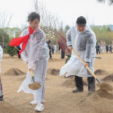 “植”此青绿——重温总书记谆谆教诲