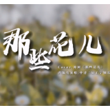 《那些花儿》跨越时空，致敬先烈