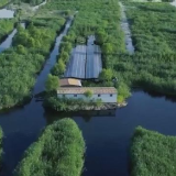 习近平这样擘画“未来之城”