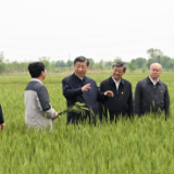 田间地头话发展，习近平总书记一以贯之的调研方法