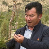 习近平总书记关切事｜努力创造新时代中国防沙治沙新奇迹