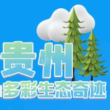 向着山野贵州，寻找新时代下的多彩生态奇迹