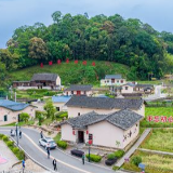 大国新村：沿着总书记的足迹 | 福建长汀：从水浊山荒到水绿山青