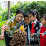 心意+创意！开学季被这些迎新方式打动了