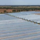 天津加快推动受灾地区抢种补种 加紧恢复农业生产秩序