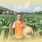 把论文写在田野大地上