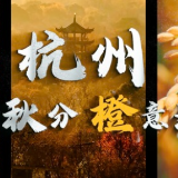 这个秋分 杭州亚运会“橙”意满满