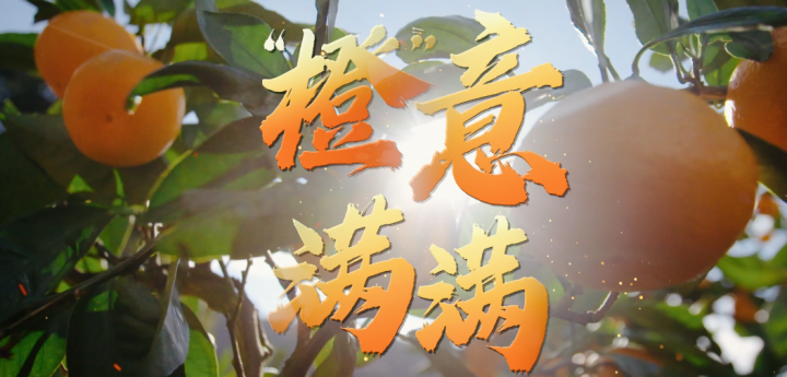 1695437901146_650e544dce023a0001cb616e.png