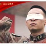 2022中国正能量：汇聚点点微光，照亮前行之路