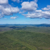 鉴往知来丨大兴安岭林区转型记