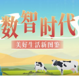 创新中国︱数智时代美好生活新图鉴