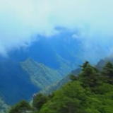 我国加快推进实施生态保护修复重大工程