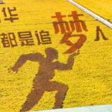 图解 | 2023→2024 和美乡村画卷铺展