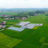 快讯丨湖南三农工作提出这些目标