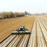 从“军垦第一犁”到“农”为全国作示范——新疆生产建设兵团成立70周年发展综述之一