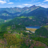 生态环境持续改善 崇安髭蟾首次现身南岳衡山