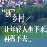 高质量发展调研行丨“浙”乡村，让年轻人坐下来，再做下去