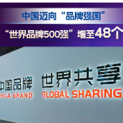 组图 | 7组数据透视中国品牌新势能
