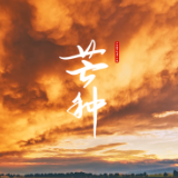 《二十四节气七十二候》系列高清视频：芒种