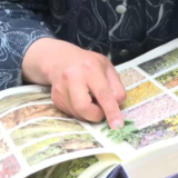 西藏丁青：传承藏医药文化 加强藏药材保护与利用