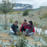 研究显示20年间西藏生态格局变化率低于1%