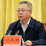 沈晓明：坚决扛牢政治责任 不折不扣抓好整改 努力在建设美丽湖南上迈出更大步伐