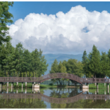 高质量发展调研行 | 云南洱源:保一方清水入洱海