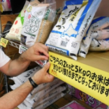 日本多地“大米荒”持续 政府拒绝投放储备米