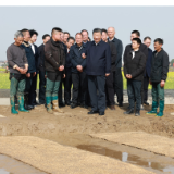 改革为人民丨良田良种良机良法 习近平心系农业现代化