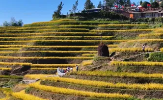 紫鹊界梯田：农耕文化助力解锁文旅新体验