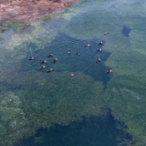 衡山萱洲国家湿地公园：水清岸绿鸟蹁跹 生态画卷入眼来