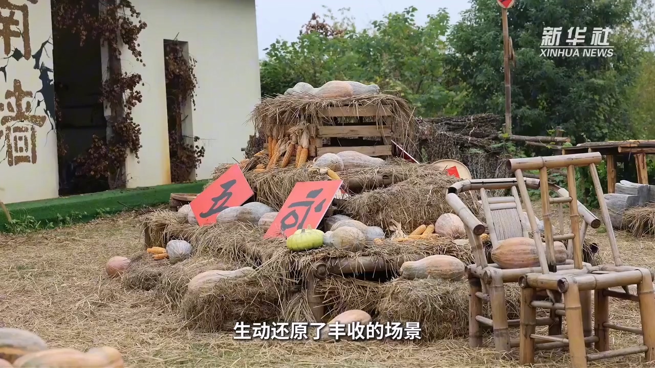 “近郊晒秋” 打造秋收文化新场景